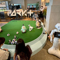 パートナーロボットが勢揃いしたカフェ「PARK+」渋谷にオープン ロボホン/LOVOT/チャーリー/ロミィとの触れ合い体験レポート