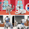 <p>シェア 0 ツイート 0 はてブ 0</p>