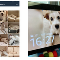 ペットとの生活にEcho ShowやFireタブレットなどAlexaデバイスを活用する方法　Amazonが社員3名の暮らしをブログで公開