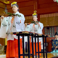 ソニー「アイボの七五三」を神田明神で開催 「二礼二拍手一礼」を覚えたaiboも公開、境内はオーナー達で賑わう