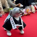 ソニー「アイボの七五三」を神田明神で開催 「二礼二拍手一礼」を覚えたaiboも公開、境内はオーナー達で賑わう