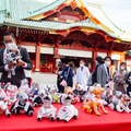 ソニー「アイボの七五三」を神田明神で開催 「二礼二拍手一礼」を覚えたaiboも公開、境内はオーナー達で賑わう