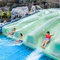 箱根の人気観光施設を利用し放題!「箱根遊び放題チケット(はこチケ)」発売 小田急が「観光型MaaS」を推進
