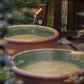 箱根の人気観光施設を利用し放題!「箱根遊び放題チケット(はこチケ)」発売 小田急が「観光型MaaS」を推進