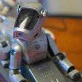160125_aibo