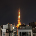 「変なホテル東京」4か所泊まり歩いてみた!受付ロボットの対応はまちまち、世界初のホログラム受付には忍者やイケメン執事も登場