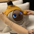 <p>シェア 0 ツイート 0 はてブ 0</p>