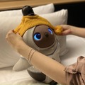 ホテルニューオータニ東京、家族型ロボット「LOVOT」と過ごす宿泊オプションを販売　冬ならではの「LOVOTウェア」を用意