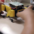 四足歩行ロボット犬「Mini Pupper」(ミニぷぱ) 超小型LiDARで自律移動、カメラで物体認識もできる 「Makuake」で日本初上陸