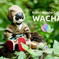 茶道ロボット「千のロビ」、茶道VRを用いたデモ体験「CES 2022」に出展 テーマは「ROBOT MATCHA CAFE」