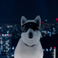 【動画】ソフトバンク白戸家と『呪術廻戦』がコラボ！お父さんが五条悟に変身!?オリジナルxRコンテンツ配信開始