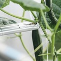 AGRISTがきゅうりの自動収穫ロボットを発表 ピーマン収穫にに次ぐ宮崎県発のスマート農業ロボット第2弾