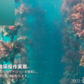 『docomo Open House’22』1/17から開催「水中ドローンの5G遠隔操作」で養殖や水質調査をスマート化、CFD販売が出展へ