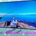 <p>シェア 0 ツイート 0 はてブ 0</p>
