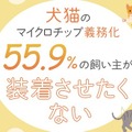 <p>シェア 0 ツイート 0 はてブ 0</p>