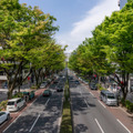 表参道の屋外広告をNFT化し販売へ NTTドコモ・電通グループ共同出資のLIVE BOARD社とCoinPostらが実証実験
