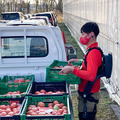 トマト農場でスマート農業支援ロボットの実証実験　自動搬送ロボット/パワーアシストスーツ/トマト検品＆自動仕分けAIロボットが参加