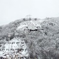 雪の中「ごはんセット」をドローンが届ける　福井県敦賀市でドローン配送によるスマート物流の実証実験
