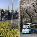 <p>シェア 0 ツイート 0 はてブ 0</p>