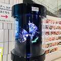 レストランやショッピング街に多数の「自律移動ロボット」登場　配膳/警備/サイネージ/清掃/案内の自動化最前線　大名古屋ビルヂング
