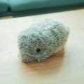 日本発のAIペット型ロボット「Moflin」(もふりん) 蔦屋家電＋で展示開始 スキンシップで変化する最先端のペット型ロボット