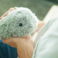 日本発のAIペット型ロボット「Moflin」(もふりん) 蔦屋家電＋で展示開始 スキンシップで変化する最先端のペット型ロボット