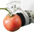 ヤンマー「大玉トマト収穫ロボット」の試作機を出展 独自開発の吸着切断ハンドで収穫を実現「2022国際ロボット展」