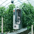 ピーマン自動収穫ロボット「L」が東京初上陸『2022国際ロボット展』農林水産省ブースに展示 最新機の映像を初公開