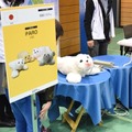 paroDSC_0464