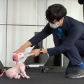 特別展「きみとロボット ニンゲンッテ、ナンダ?」約90種130点のロボットが集結　aiboからQuizKnockにアンバサダー任命証を授与　日本科学未来館
