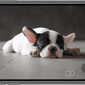ヤマダホールディング Roborockのロボット掃除機「S7 MaxV Plus」「S7 MaxV」を独占販売 先進センサーと2種類のカメラ搭載