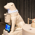 130点のロボットが集結「きみとロボット ニンゲンッテ、ナンダ?」会場レポート　日本科学未来館 特別展の見どころ　一挙に大紹介