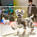 130点のロボットが集結「きみとロボット ニンゲンッテ、ナンダ?」会場レポート　日本科学未来館 特別展の見どころ　一挙に大紹介