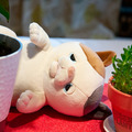 話題の「甘噛みハムハム」実機レビュー!世界初の甘噛みハムゴリズム搭載のハムリングシステムで数10種の甘噛みパターンを実現