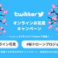 桜マニアが選ぶ「令和の桜」おすすめスポットを紹介 3/27は「オンライン花見」桜ドローンで撮影した桜映像をYouTubeで無料配信