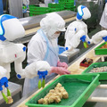 人型協働ロボット「Foodly」弁当、レトルト惣菜の生産ライン現場で3社に導入　ロボットフレンドリーな食品工場づくりに向けてデモを公開