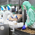 人型協働ロボット「Foodly」弁当、レトルト惣菜の生産ライン現場で3社に導入　ロボットフレンドリーな食品工場づくりに向けてデモを公開