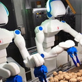 人型協働ロボット「Foodly」弁当、レトルト惣菜の生産ライン現場で3社に導入　ロボットフレンドリーな食品工場づくりに向けてデモを公開