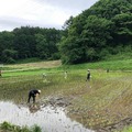 水田を走り回ってお米作りの重労働を削減 長野県発のアイガモロボ「ミズニゴール」実証実験、レンタル提供の予約を受付開始