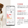 愛犬のこころとからだを見守る首輪型スマートデバイス『イヌパシー・カラー』登場　愛犬の心拍やストレスをスマホで確認