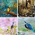 AIと人間がアート作品を共創『題名のないAI絵画展』羽田スマートシティEXPO2022春で出展