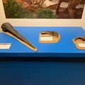 「ジュラシック大恐竜展inよみうりランド」5月下旬まで開催延長！暗闇で恐竜世界を探検できるナイトミュージアムも開催