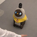 <p>シェア 0 ツイート 0 はてブ 0</p>