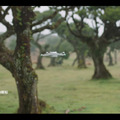DJIがMiniシリーズ初のハイエンドモデル「DJI Mini 3 Pro」を発表 4K/60fps動画撮影、アクティブトラック、障害物検知など新機能