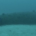 【動画】海底に眠る大日本帝国海軍の特殊潜航艇「海龍」、静岡県下田沖で発見　水中ドローン撮影に成功