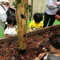 巨大昆虫ロボットが現れる「～ファーブル生誕200周年記念～ 体感するファーブル昆虫展 NAGOYA」開催へ　展示内容や概要を発表
