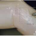 世界初!東大大学院の研究グループが生きた皮膚で覆われた「修復能をもつ培養皮膚付きロボット」の開発に成功