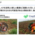 カゴメとNEC、デジタルツインとスマート農業の合弁会社を設立 天気情報/IoT/衛星/AIを活用して加工用トマト農業を営農支援