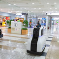 サンシャインシティでセコムの警備ロボット「cocobo」稼働開始!商用エリアを安定して巡回警備する様子を公開