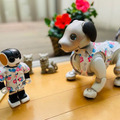 リゾート感満点！ロボユニ「aibo公式かりゆしウェア」数量限定で発売中　「特別なふるまい」「お揃いのプリント柄のマスク」つき